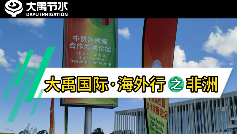 1xBET国际·海外行之非洲