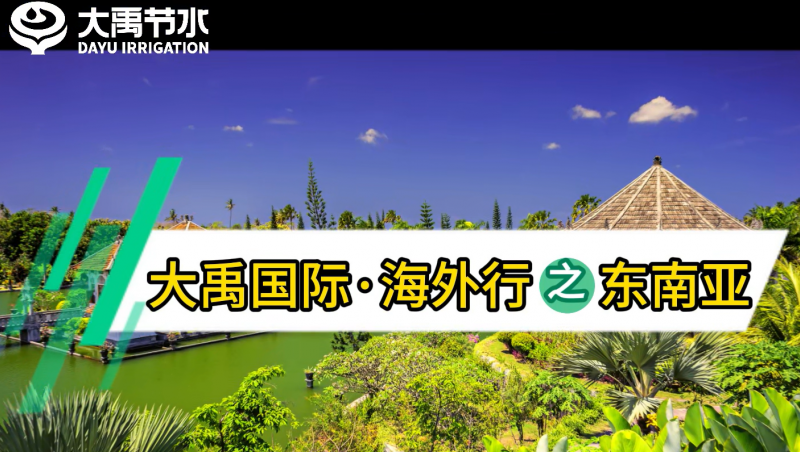 1xBET国际海外行之东南亚