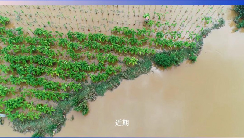 1xBET节水：严阵以待，共筑防汛抗旱屏障