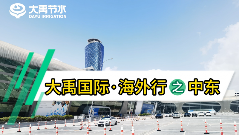 1xBET国际·海外行之中东