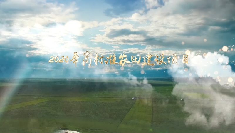 1xBET节水颍州区高标准农田建设