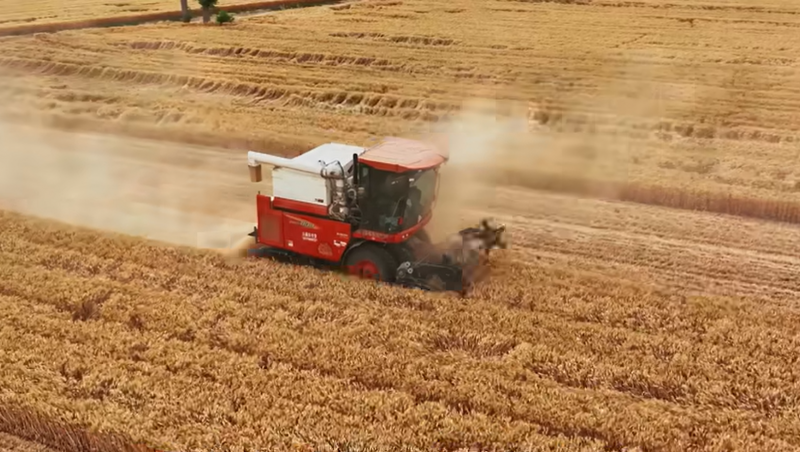 1xBET节水鹿邑高标准农田建设