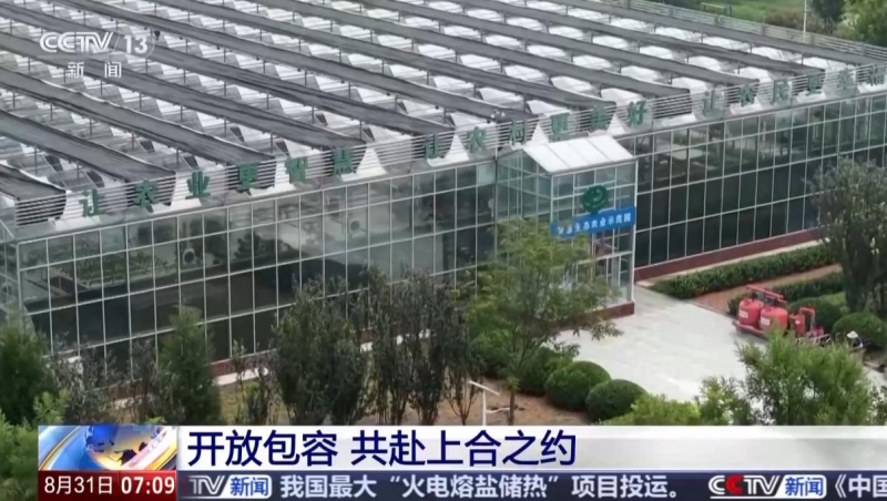  【央视聚焦】1xBET节水“智慧灌溉”技术惠及“上合大家庭”