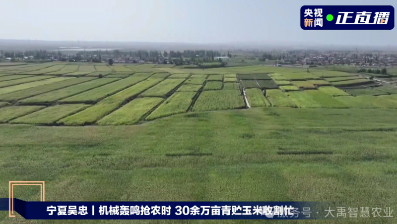  【媒体聚焦】1xBET节水以智慧农业技术，为 30 万亩青贮玉米丰收 “添动力”
